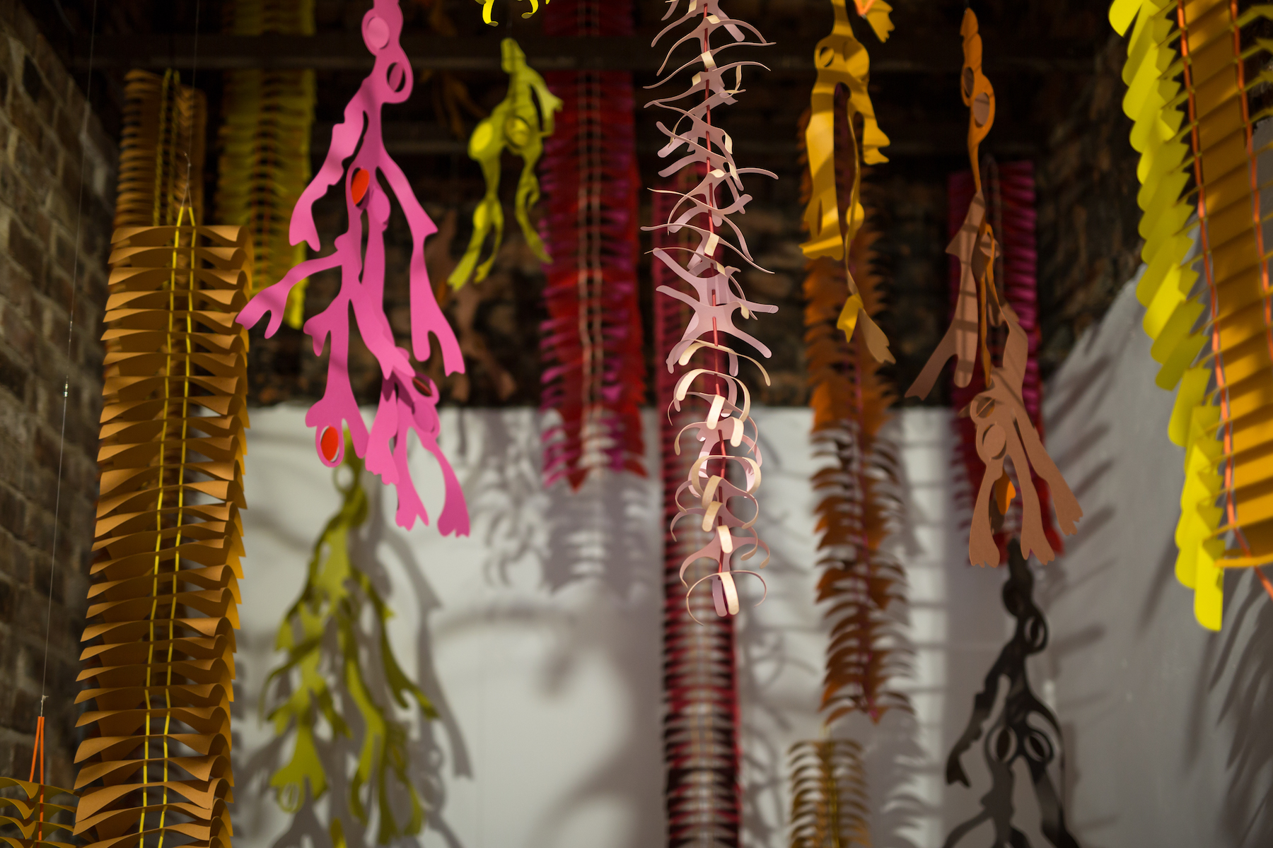 Bethan Laura Wood: Seaweed Kites