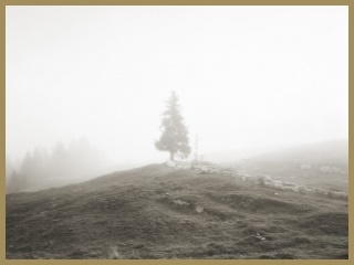 Ve Vallée du Joux působí hodináři od 18. století (foto: D. Holdsworth)