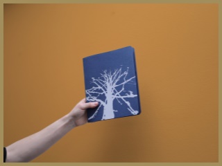 Diář Dub Julie Šnoblové