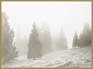 Švýcarské údolí The Vallée du Joux objektivem Dana Holdswortha 